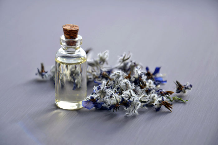 Essential Oils for Holistic Health: A Beginner’s Guide