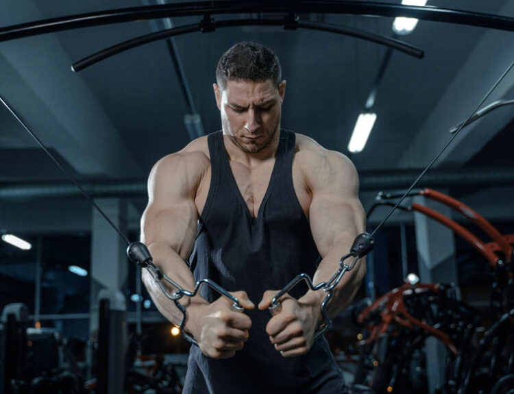 vegetarian muscle building