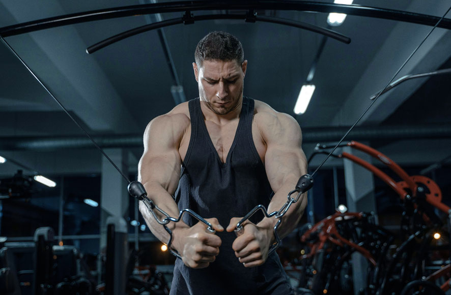 vegetarian muscle building